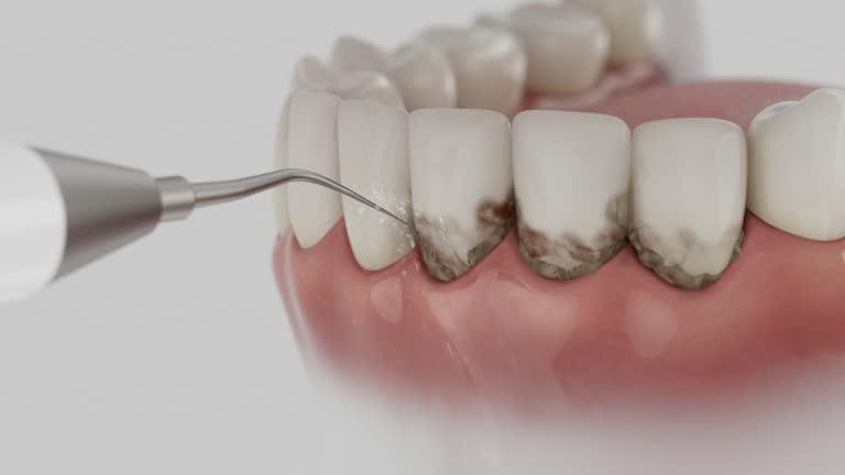 Reliable Dental contractor in White Marsh, MD by Dentist Open Now